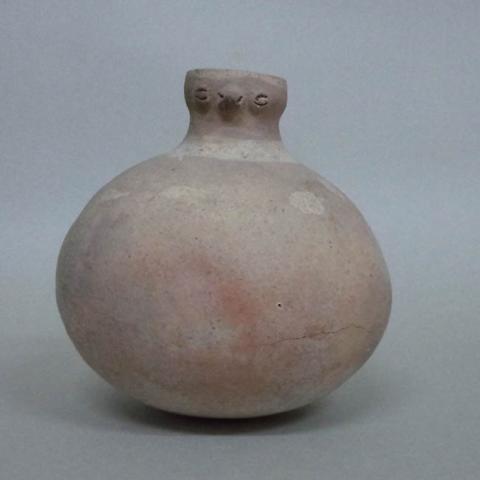 Primera imagen del registro Botella (arqueológica y etnográfica)
