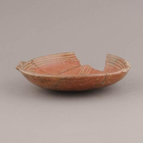 Primera imagen del registro Platillo (plato)