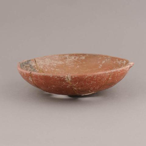 Primera imagen del registro Platillo (plato)