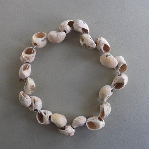 Primera imagen del registro Collar (accesorio de vestir)