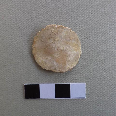 Primera imagen del registro Espátula