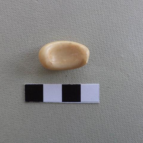 Primera imagen del registro Pulidor (arqueológico)
