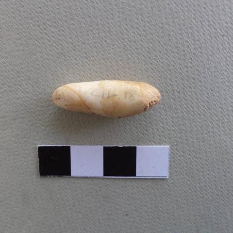 Primera imagen del registro Pulidor (arqueológico)