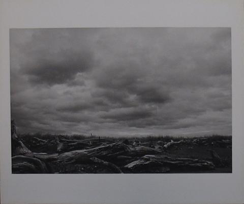 Primera imagen del registro Serie Nómadas del mar: Seno Skyring (2)