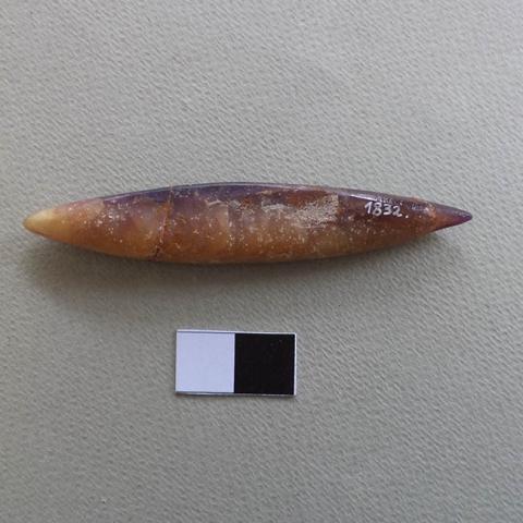 Primera imagen del registro Pesa de pesca