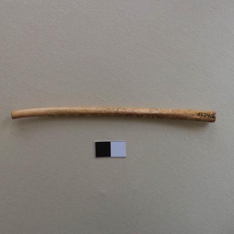 Primera imagen del registro Tubo inhalador