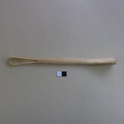 Primera imagen del registro Cucharilla