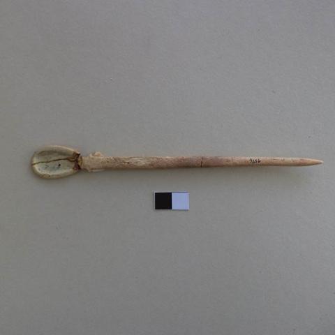 Primera imagen del registro Cucharilla