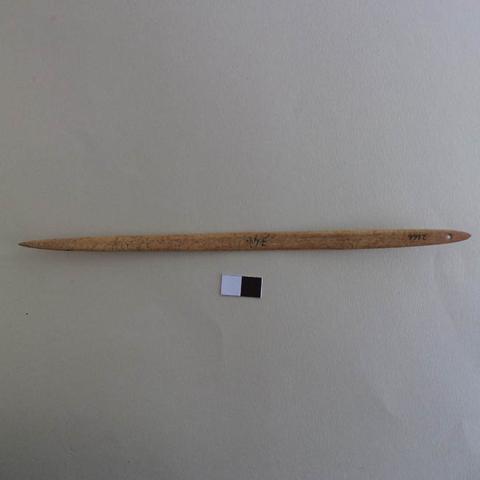 Primera imagen del registro Aguja (arqueológico y etnográfico)