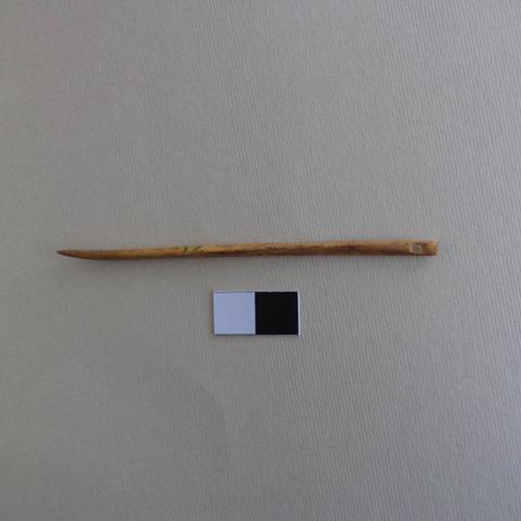 Primera imagen del registro Aguja (arqueológico y etnográfico)