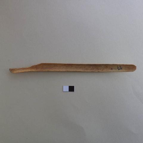 Primera imagen del registro Espátula