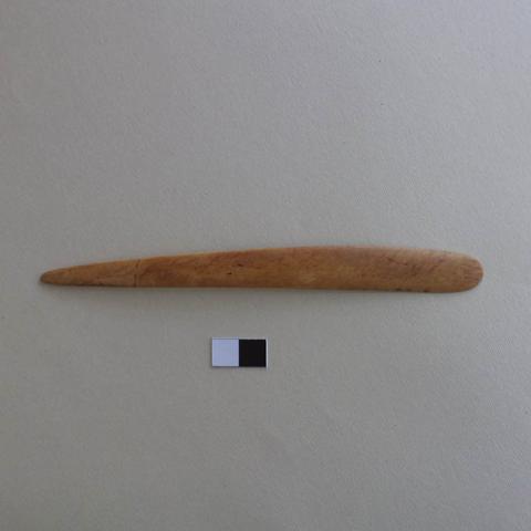 Primera imagen del registro Espátula