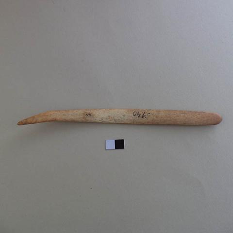 Primera imagen del registro Espátula