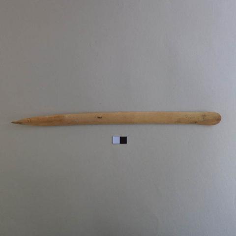 Primera imagen del registro Espátula