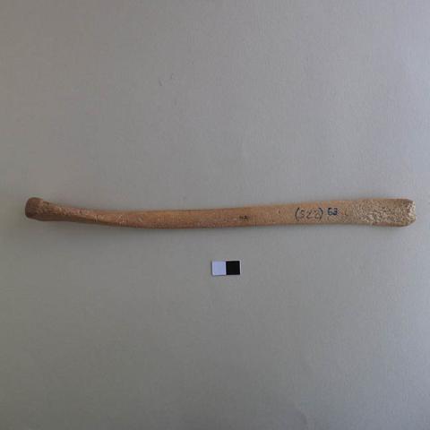 Primera imagen del registro Espátula