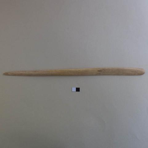 Primera imagen del registro Espátula