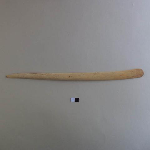 Primera imagen del registro Espátula