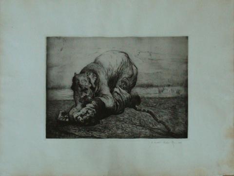 Primera imagen del registro Tigre Y Elefante