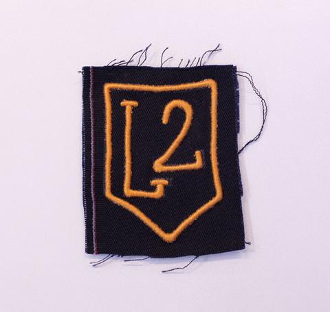Primera imagen del registro Insignia (artefacto de identificación)