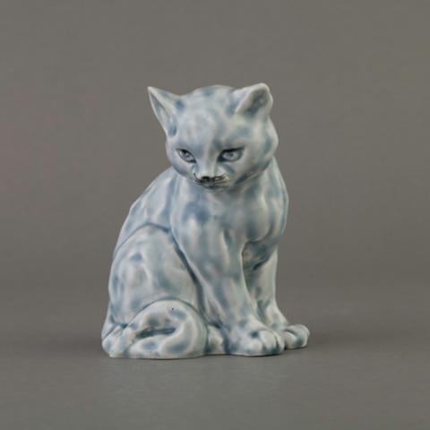 Primera imagen del registro Gato