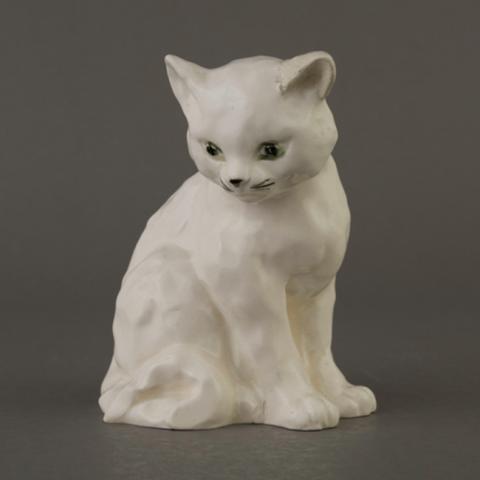 Primera imagen del registro Gato