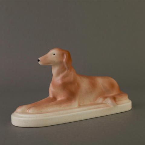 Primera imagen del registro Perro galgo
