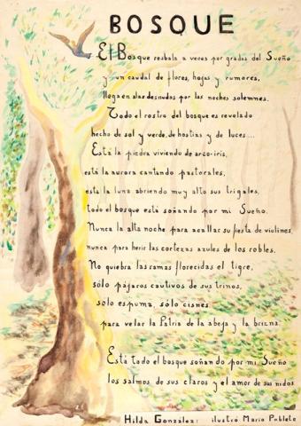 Primera imagen del registro Bosque