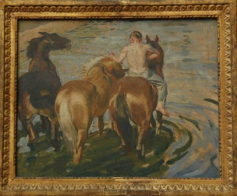 Primera imagen del registro Bañando caballos