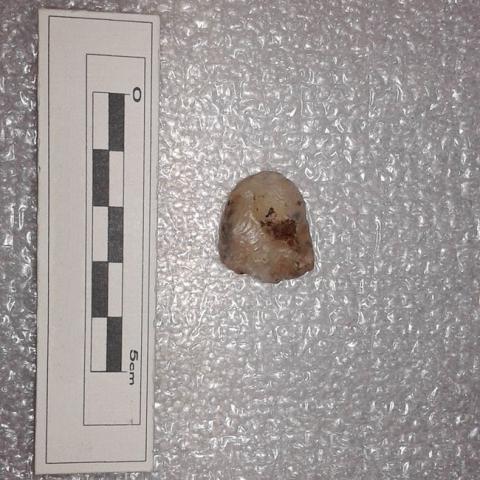 Primera imagen del registro Raspador