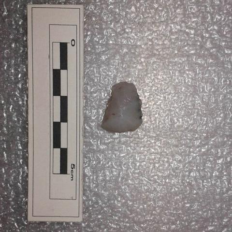Primera imagen del registro Raspador