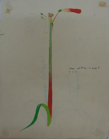 Primera imagen del registro Boceto de planta