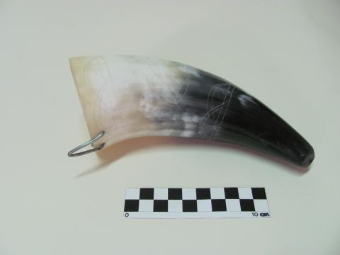 Primera imagen del registro Cacho (contenedor)