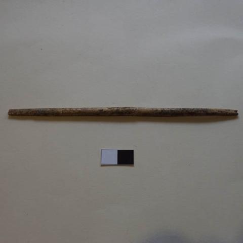 Primera imagen del registro Aguja (arqueológico y etnográfico)