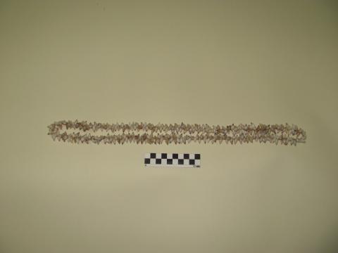 Primera imagen del registro Collar (accesorio de vestir)