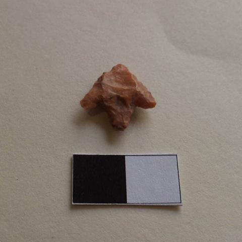 Primera imagen del registro Micropunta de proyectil