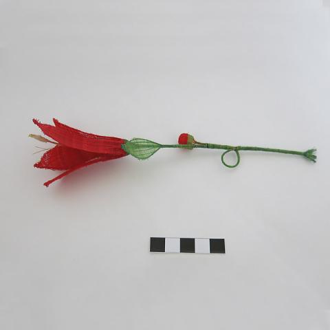 Primera imagen del registro Flor de copihue