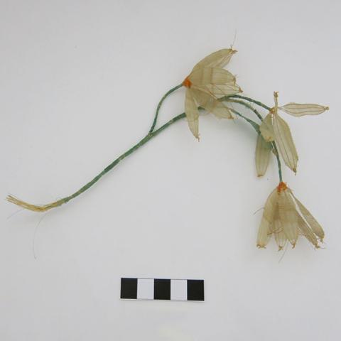 Primera imagen del registro Figurilla