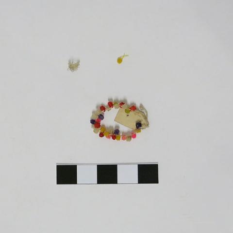 Primera imagen del registro Miniatura (atributo de tamaño)