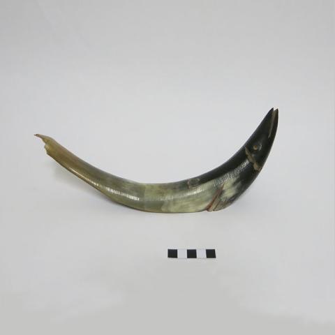 Primera imagen del registro Figura (representación)