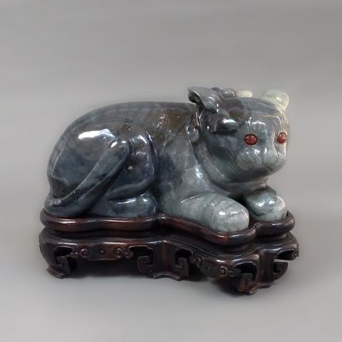 Primera imagen del registro Gato