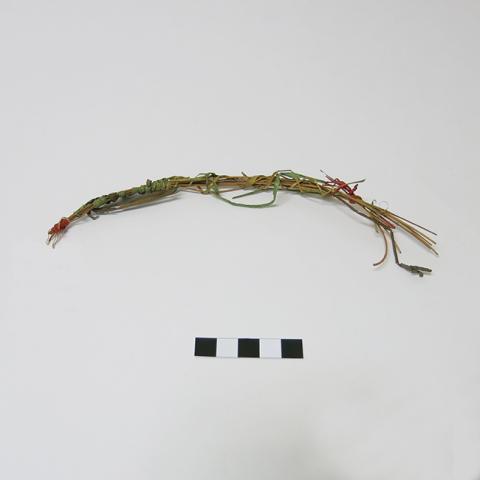 Primera imagen del registro Muestra