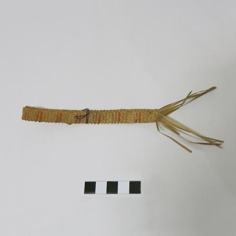 Primera imagen del registro Muestra