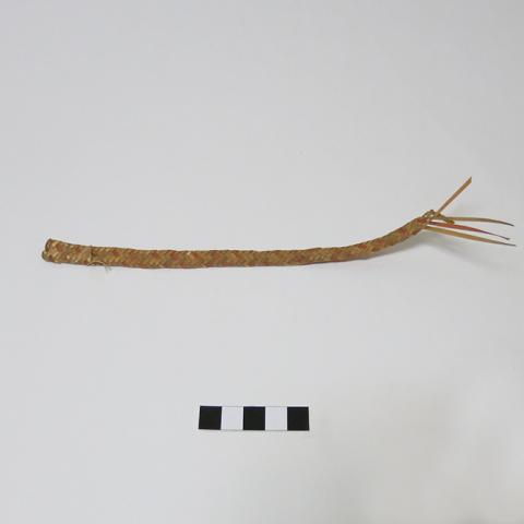 Primera imagen del registro Muestra