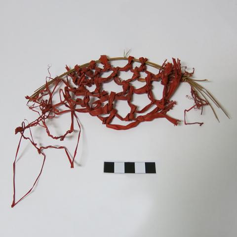 Primera imagen del registro Muestra