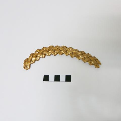 Primera imagen del registro Muestra