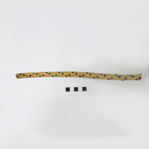 Primera imagen del registro Muestra