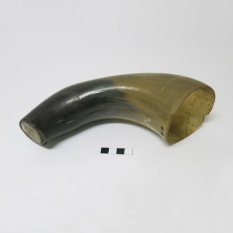 Primera imagen del registro Cacho (contenedor)