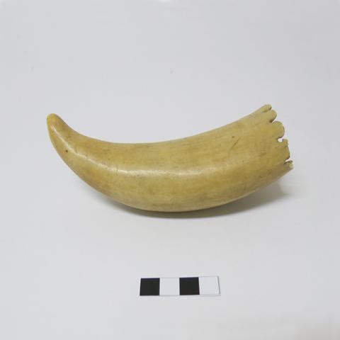 Primera imagen del registro Cacho (contenedor)