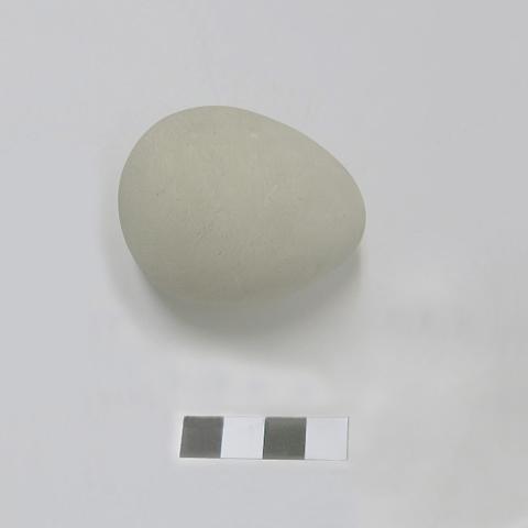 Primera imagen del registro Figurilla