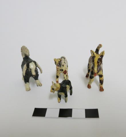 Primera imagen del registro Perros